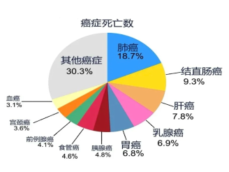 【健康科普】癌症可以预防吗？听听中医怎么说